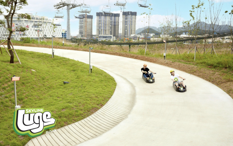 Skyline Luge Busan