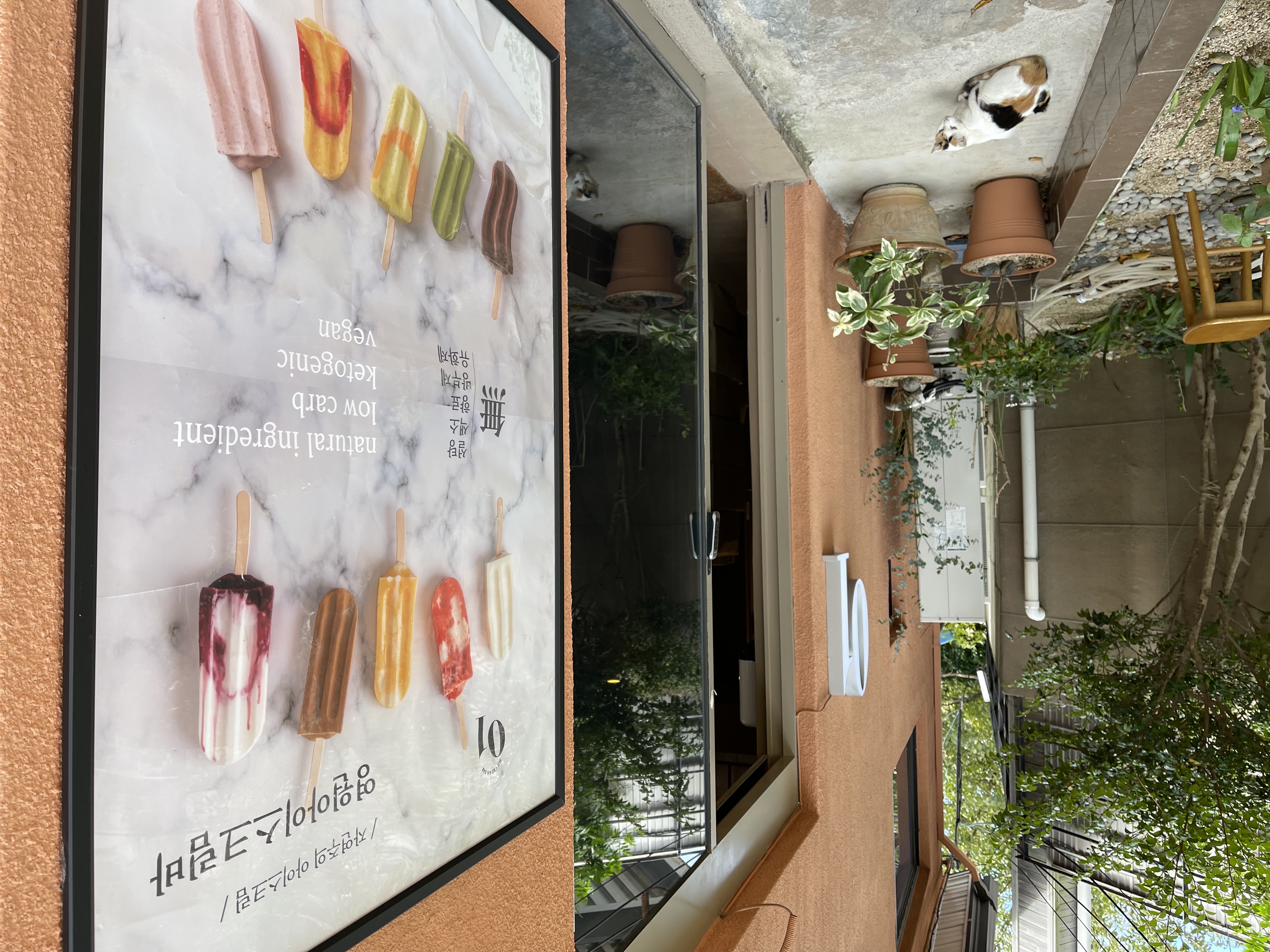 01 Ice Cream Bar