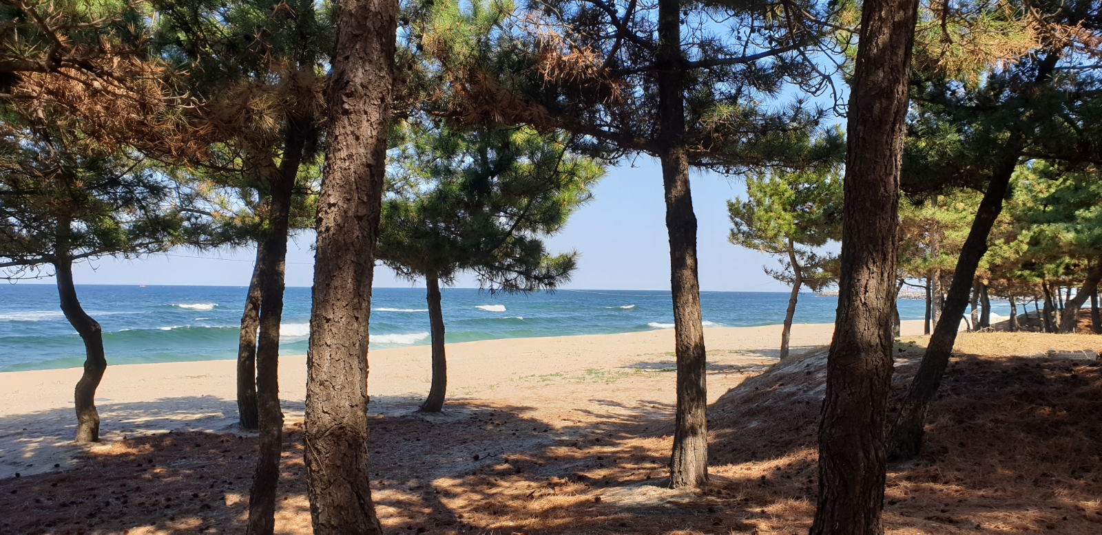 SongJung ⛱ Beach 