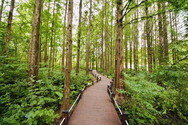 Mulhyanggi Arboretum