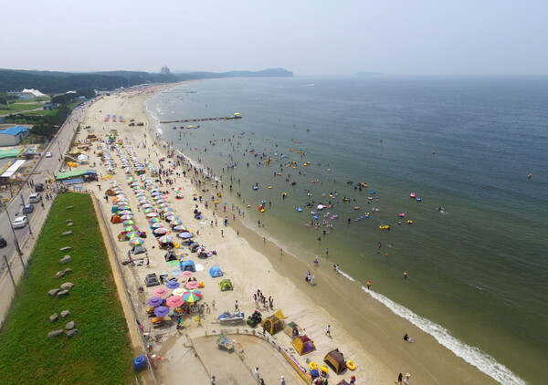 Flower Paper Swimming Beach