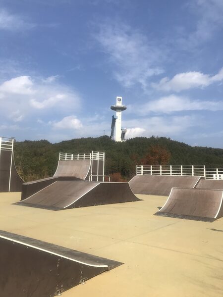 Alpensia Skate Park — photo 1