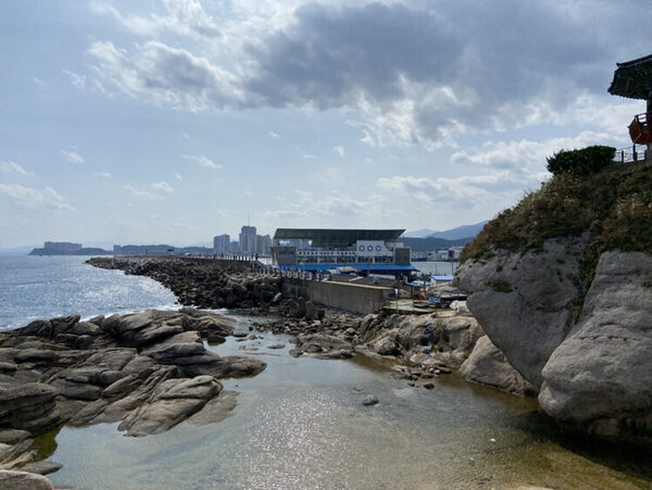 Sokcho Fish Market — photo 1