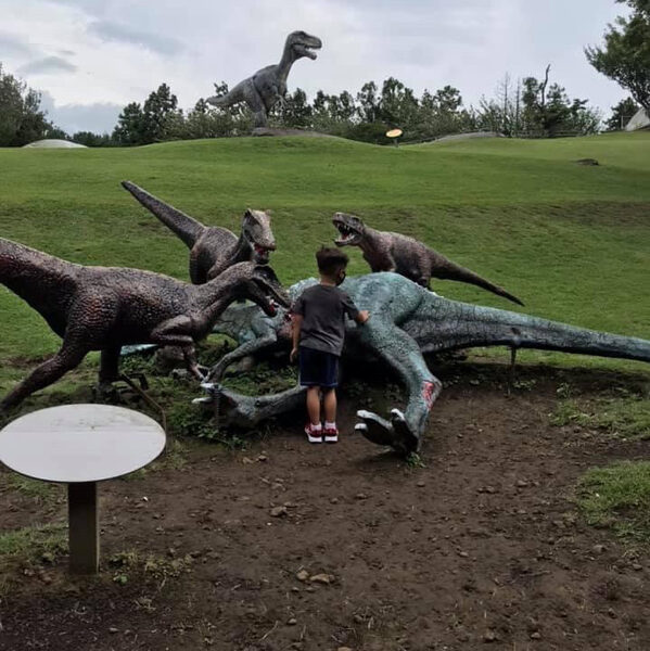 Jeju Dinosaur Island — photo 1