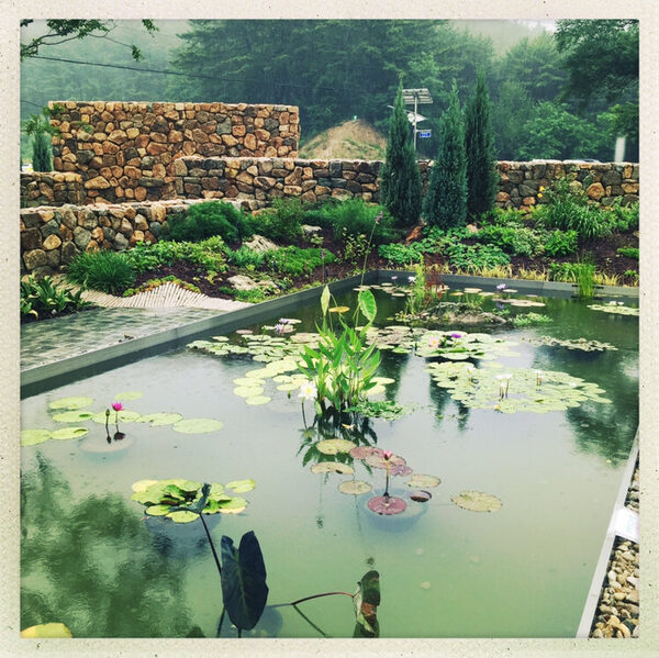 Mallipo Botanical Gardens — photo 1