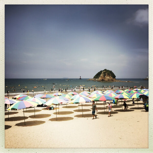 Flower Paper Swimming Beach — photo 1