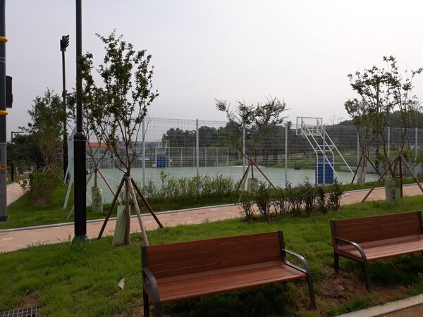 Public Courts — photo 1