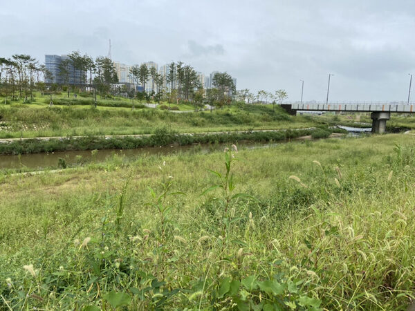 Godeok-myeon River Walk  — photo 1