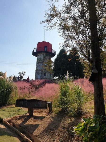 Farm Kamille — photo 1