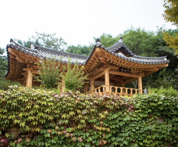 Anmyeondo Island Arboretum  — photo 1