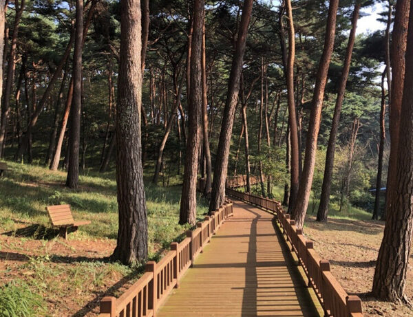 Anmyeondo Recreational Forest — photo 1