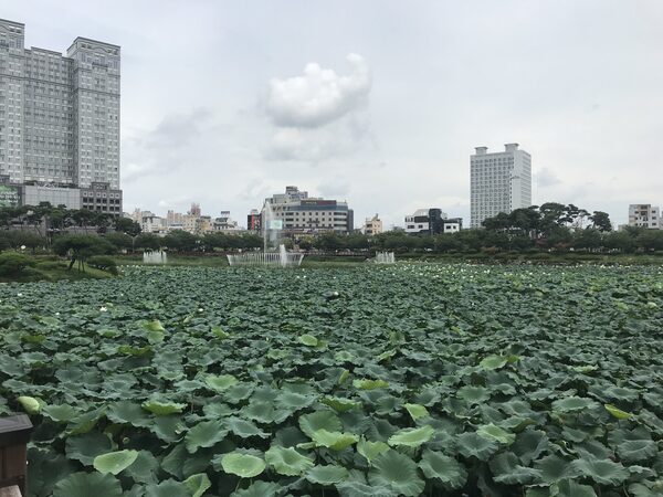 Jungang Lake Park — photo 1