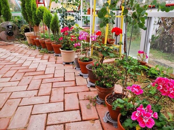 Cafe Flower Dome — photo 1