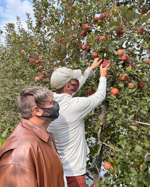 Yesan Apple Wine And Picking — photo 1