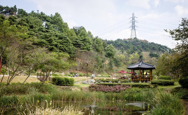 Samseonsan Arboretum — photo 1
