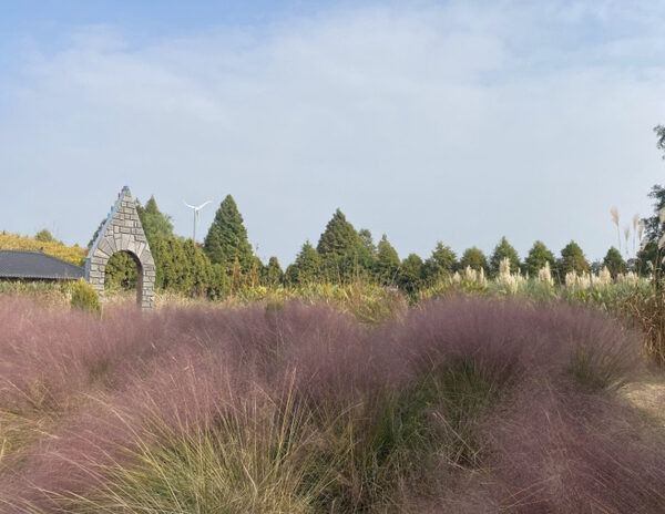 Cheongsan Arboretum  — photo 1