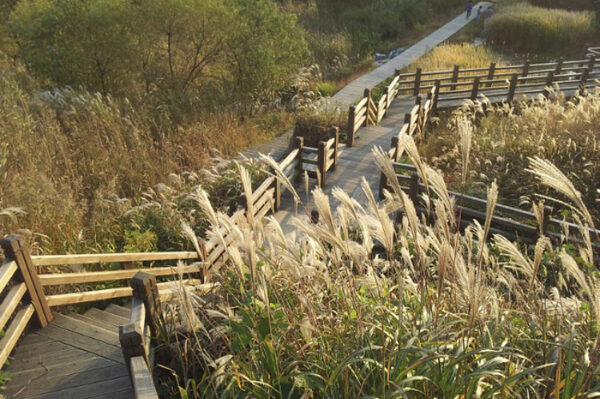 Yeonginsan Arboretum — photo 1