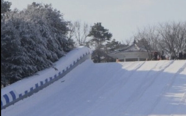 Cheonan Sangrok Resort Sledding — photo 1
