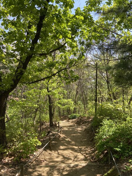 Cheongbal Mountain Hike — photo 1