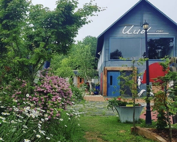 Cafe Uuol Narnia 2560 — photo 1