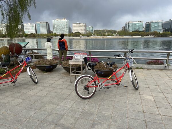 Ilsan Lake Park — photo 1