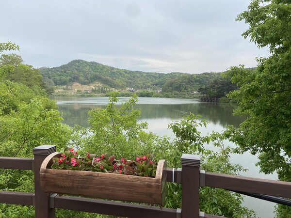 Gobokjayeon Park — photo 1