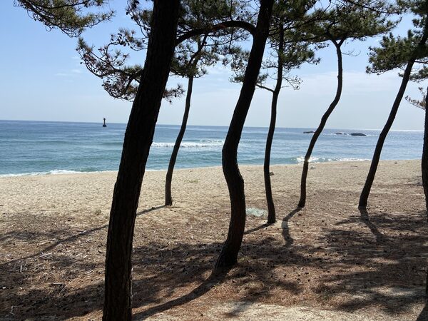 Gyeongpodo Beach Cafe Area — photo 1