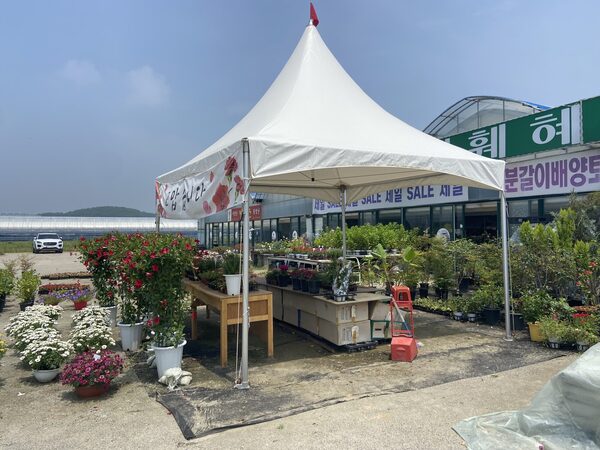 Namsa Garden Center Row — photo 1