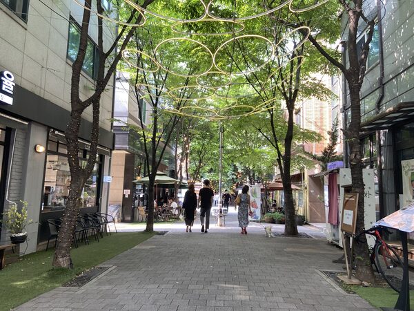 Cafe Culture Street Bojeong — photo 1