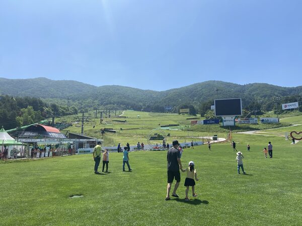 Welli Hill Resort Luge Park  — photo 1