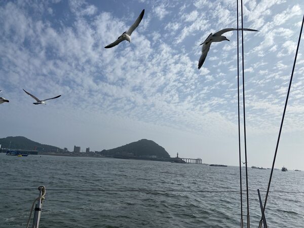 Dream Yacht Korea — photo 1