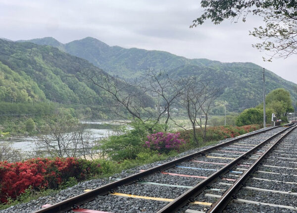 Seomjinkang Rail Bikes — photo 1