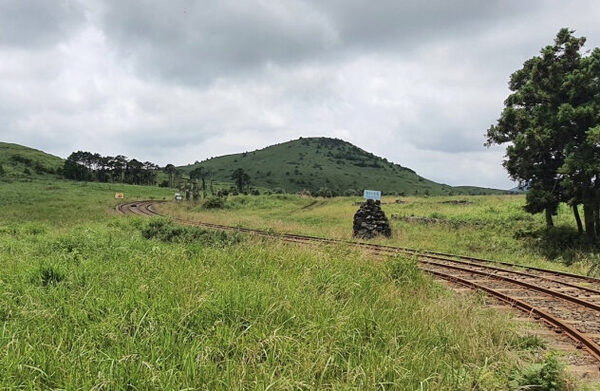 Jeju Rail Bikes — photo 1