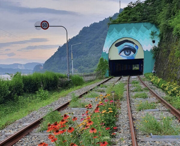 Jinju Rail Bike Park — photo 1