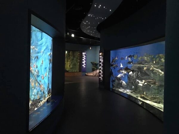 Danuri Freshwater Aquarium — photo 1