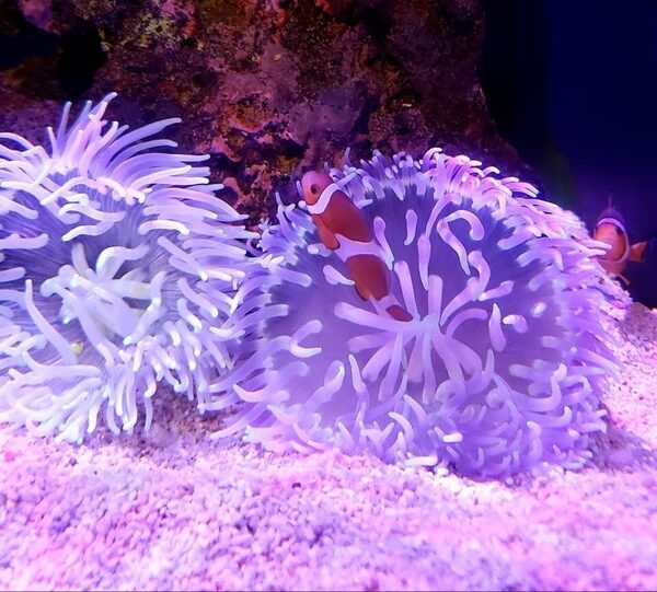 Daegu Aquarium — photo 1