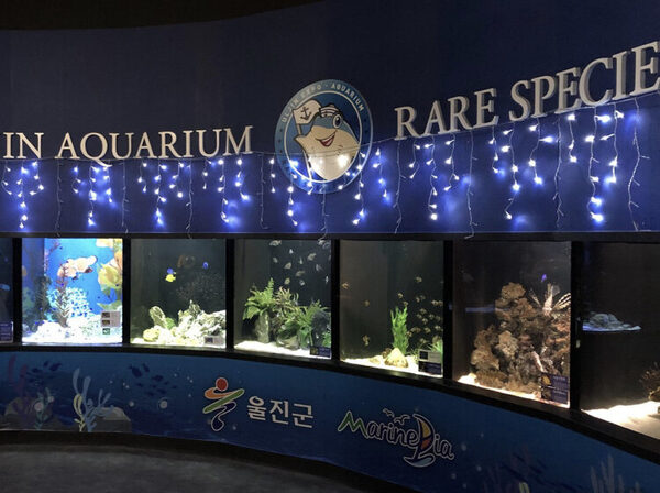 Uljin Aquarium — photo 1