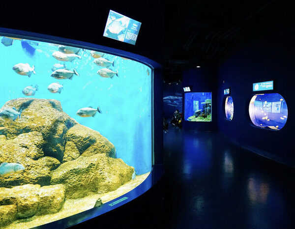 Gyeongpo Aquarium — photo 1