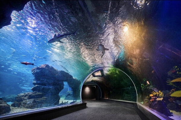 Aqua Planet Gwanggyo — photo 1
