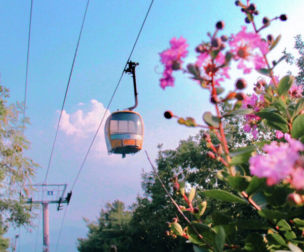 Palgongsan Cable Car — photo 1