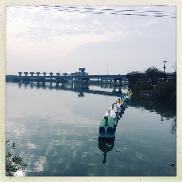 Pyeongtaek Lake Swan Boats — photo 1