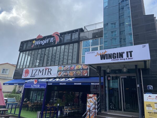 Wingin It — photo 1