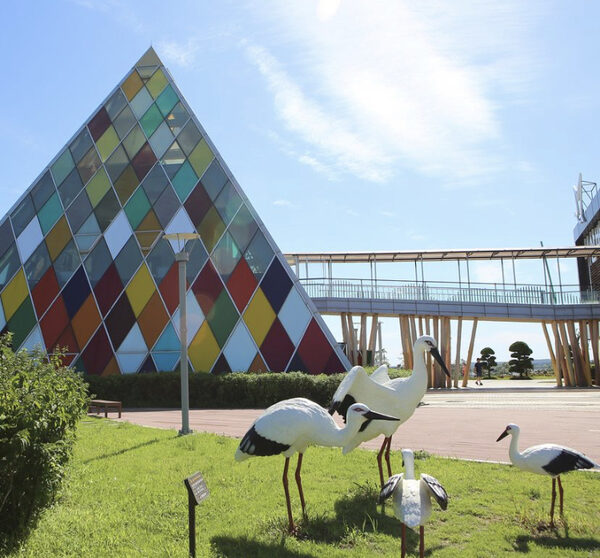 Seosan Mountain Birdland  — photo 1