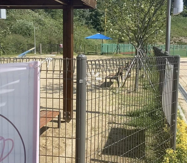 Ichung Public Dog Park — photo 1