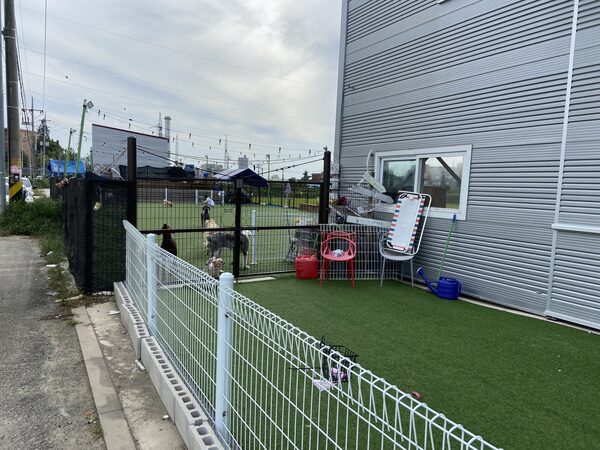 Jinwi Dog Cafe — photo 1