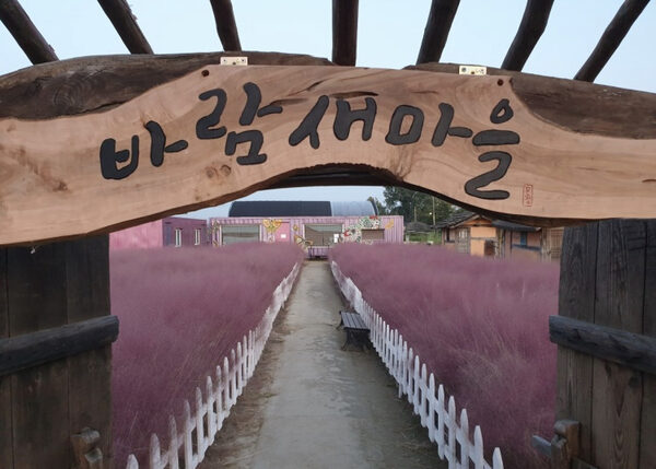 Baram Saemaeul — photo 1