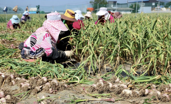 Galducheon Village  — photo 1