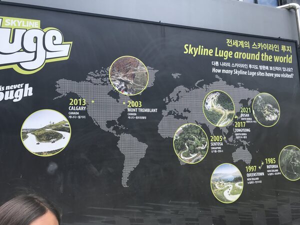 Skyline Luge — photo 1