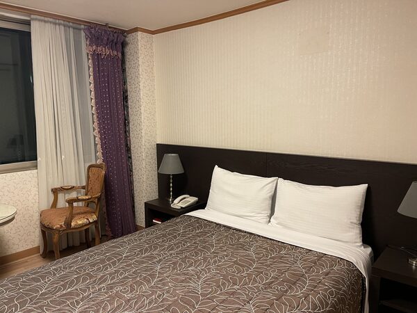 Danyang Tourist Hotel Edelweiss — photo 1