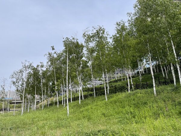 Dongtan lake park  — photo 1